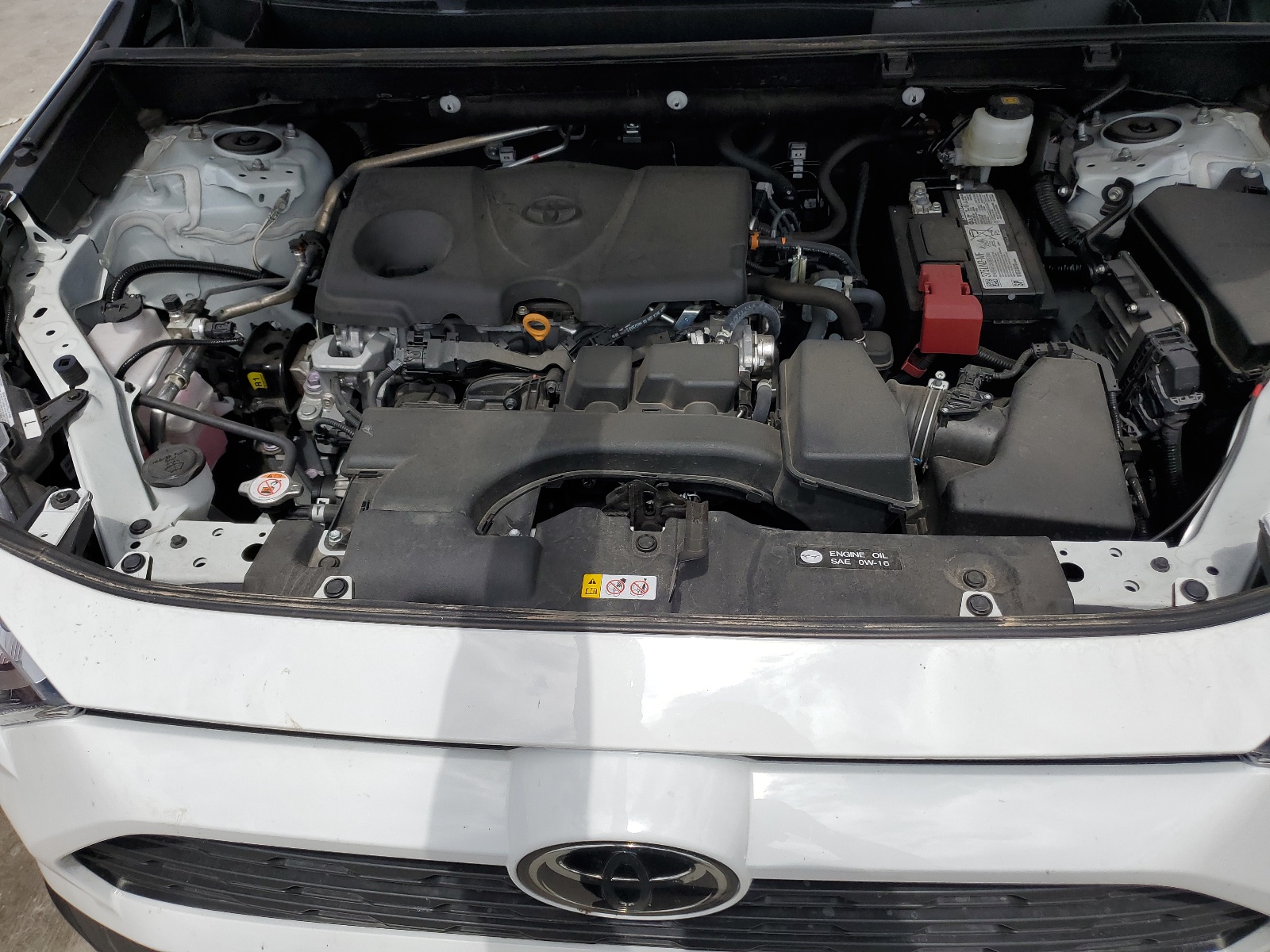 2T3H1RFVXPW290969 2023 Toyota Rav4 Le