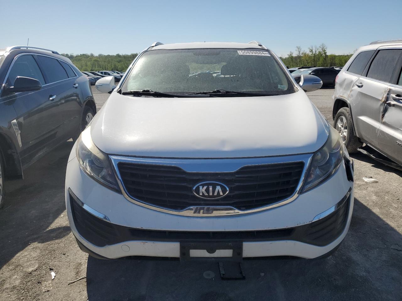 2013 Kia Sportage Base VIN: KNDPB3A29D7374548 Lot: 50899884