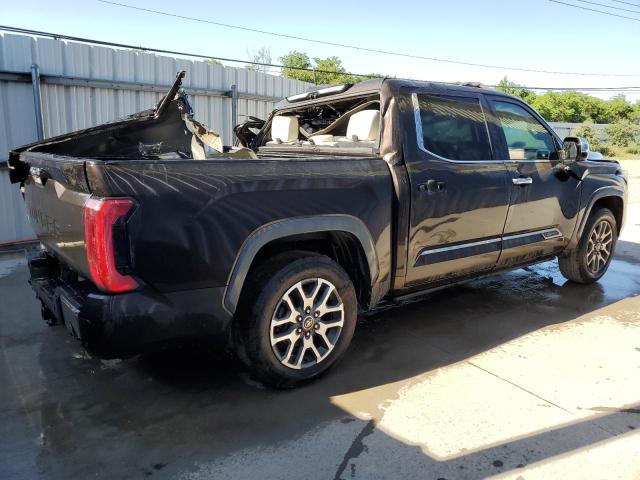  TOYOTA TUNDRA 2022 Brown