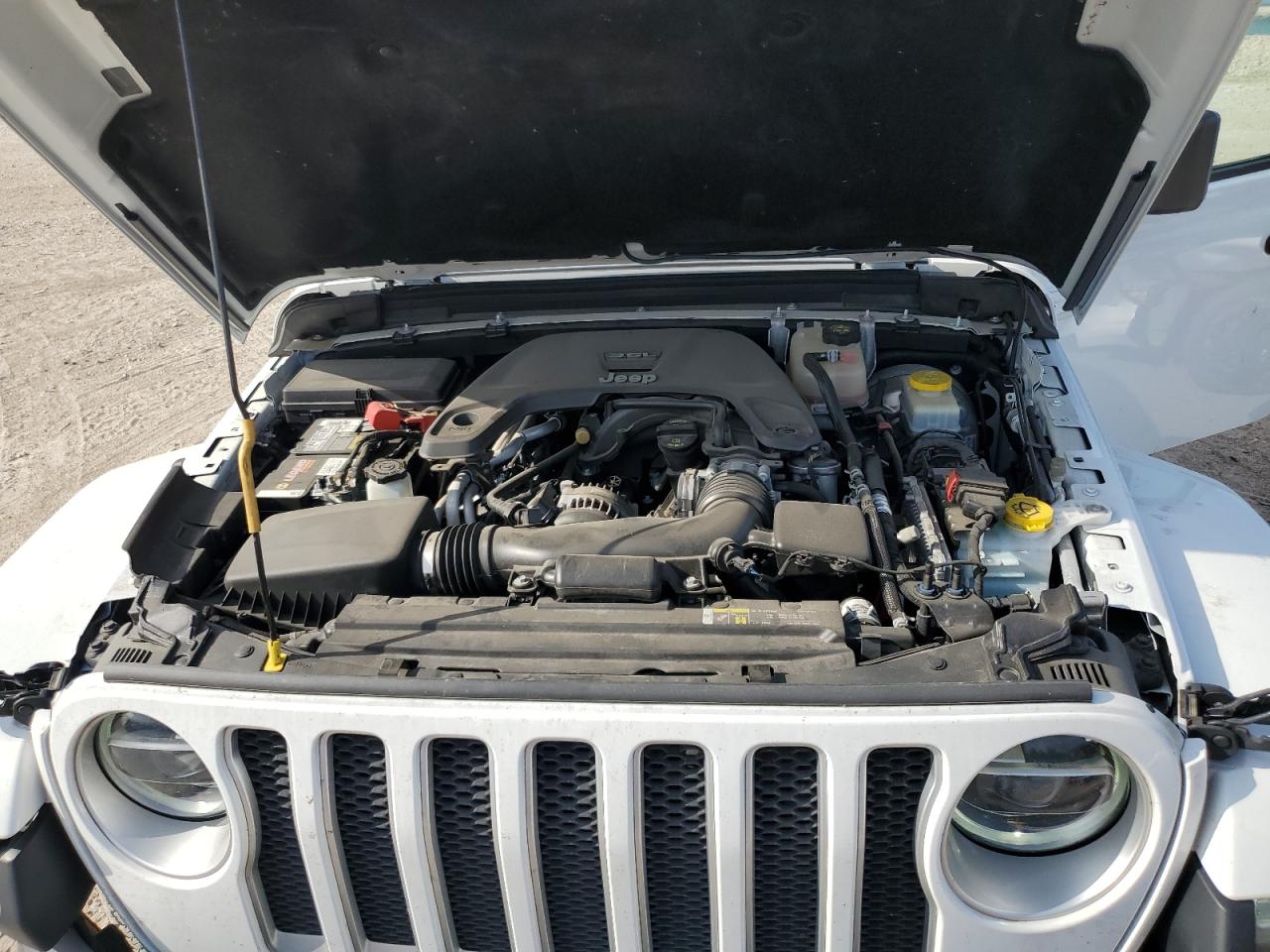 2019 Jeep Wrangler Unlimited Sahara VIN: 1C4HJXEG5KW573989 Lot: 51075544