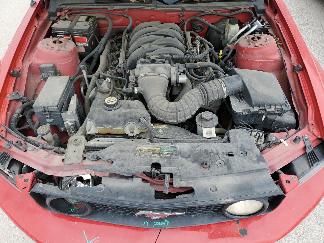 2009 Ford Mustang Gt VIN: 1ZVHT82HX95103161 Lot: 47818364