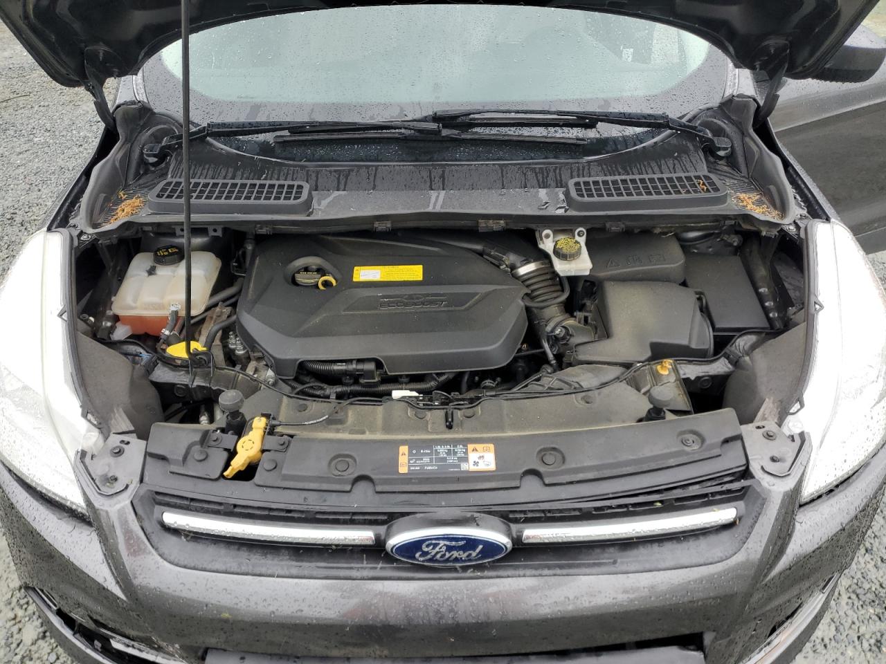 2016 Ford Escape Se VIN: 1FMCU0GX4GUC81805 Lot: 50280944