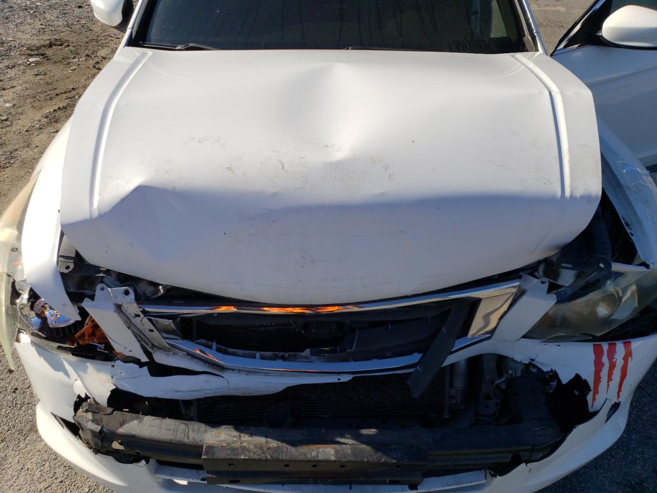 2010 Honda Accord Lx VIN: 1HGCP2F30AA053896 Lot: 49420904