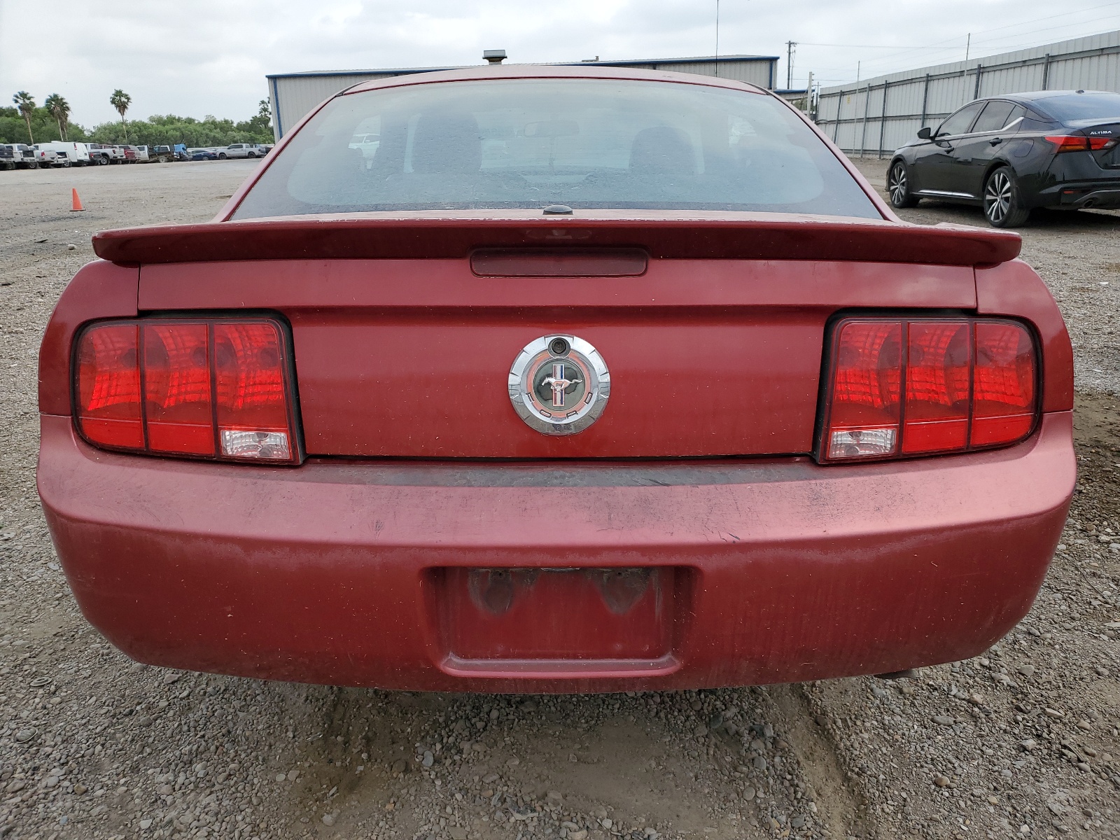 1ZVHT80N895118783 2009 Ford Mustang