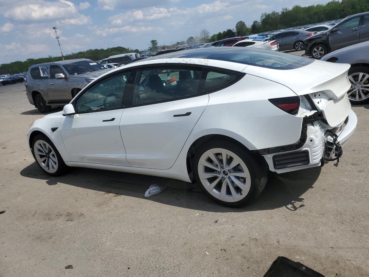 2023 Tesla Model 3 VIN: 5YJ3E1EA9PF498314 Lot: 52344504