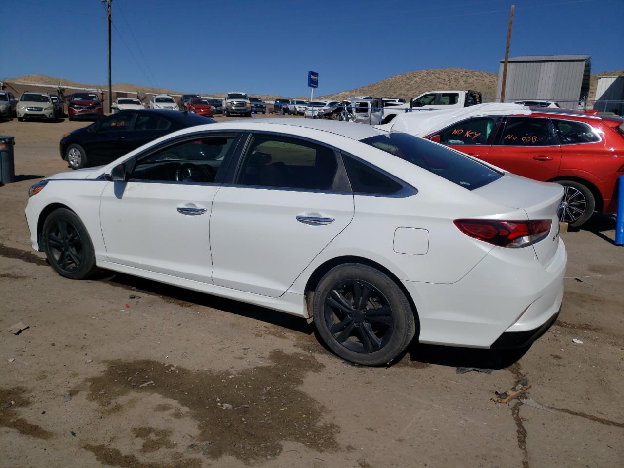 2019 Hyundai Sonata Limited VIN: 5NPE34AF4KH817484 Lot: 53129934