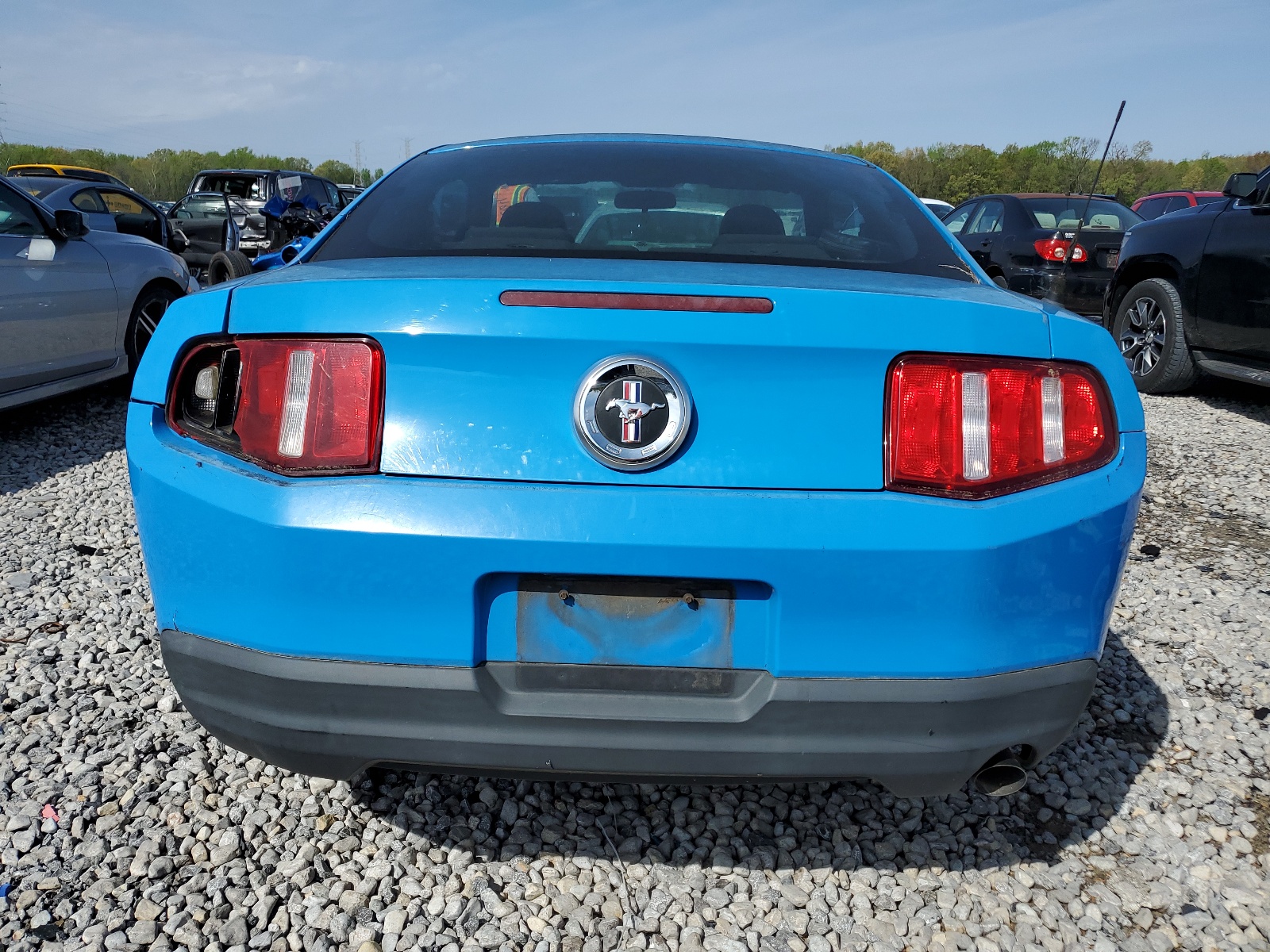 1ZVBP8AN6A5163427 2010 Ford Mustang