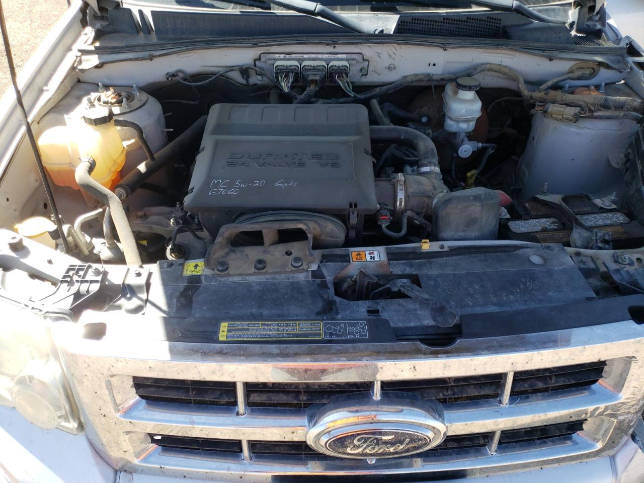 2009 Ford Escape Xlt VIN: 1FMCU93G09KB54283 Lot: 50667064