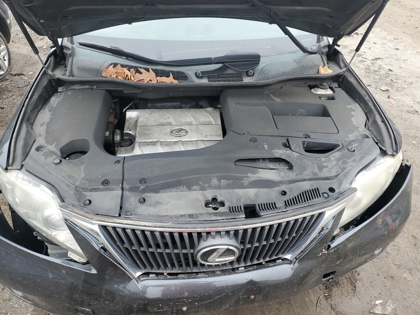 2T2BK1BA9BC114825 2011 Lexus Rx 350