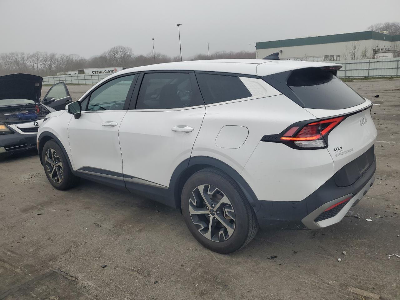 2023 Kia Sportage Ex VIN: 5XYK33AF2PG027788 Lot: 50491924