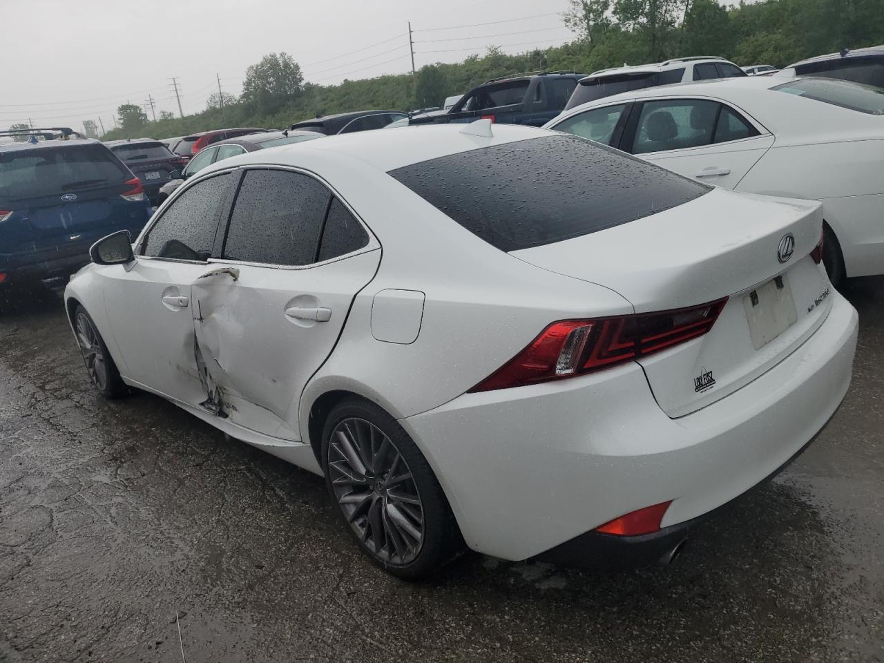 2014 Lexus Is 250 VIN: JTHCF1D24E5003554 Lot: 52109684