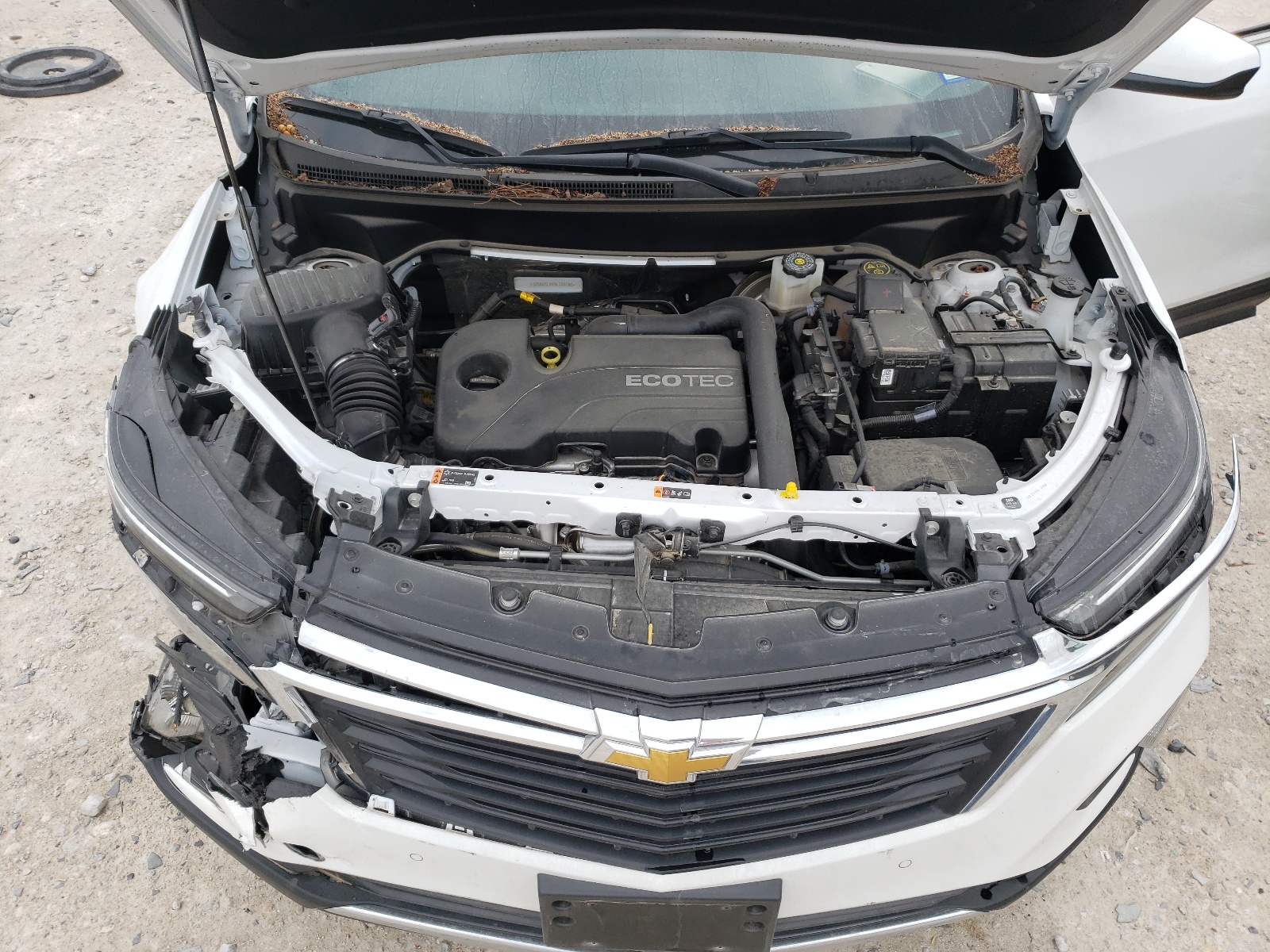 3GNAXKEV8NL288786 2022 Chevrolet Equinox Lt