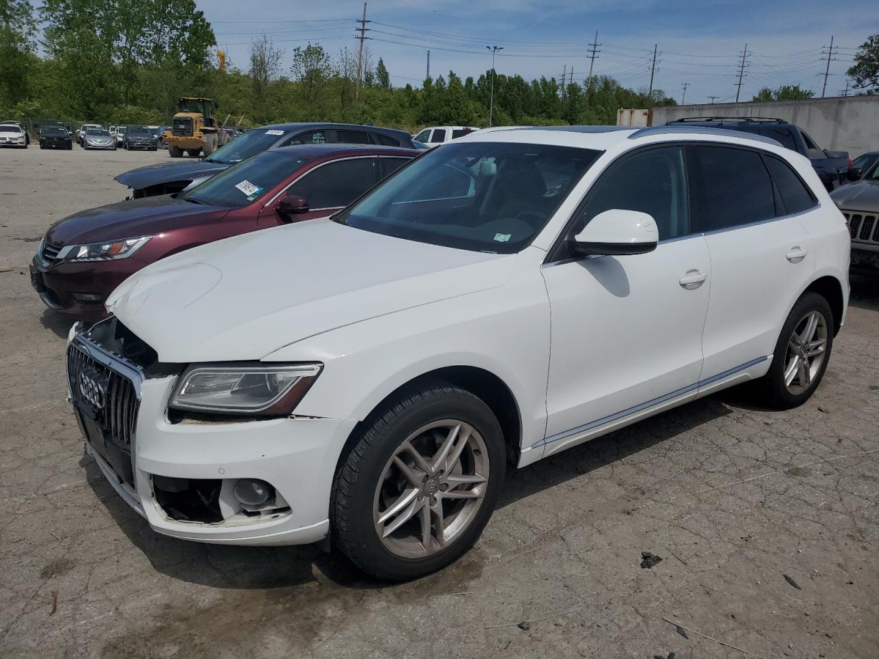 2013 Audi Q5 Premium Plus VIN: WA1LFAFP8DA007410 Lot: 51940394