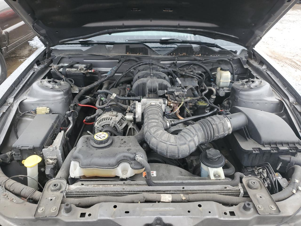 2010 Ford Mustang VIN: 1ZVBP8AN4A5108619 Lot: 49436534