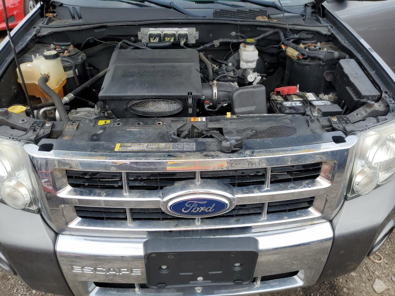 2011 Ford Escape Limited VIN: 1FMCU0EG1BKA48469 Lot: 51133534