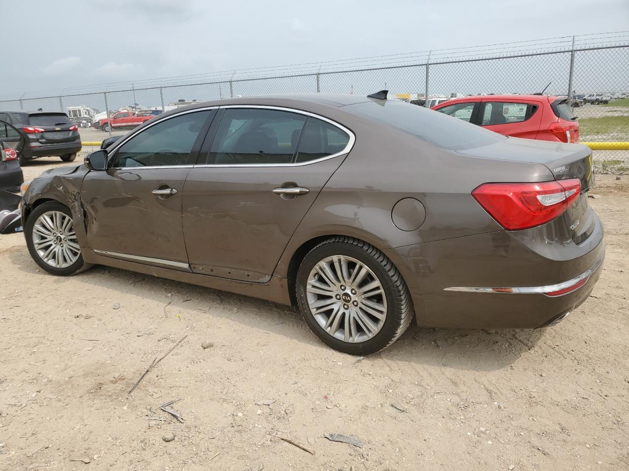 2014 Kia Cadenza Premium VIN: KNALN4D72E5166976 Lot: 51838204