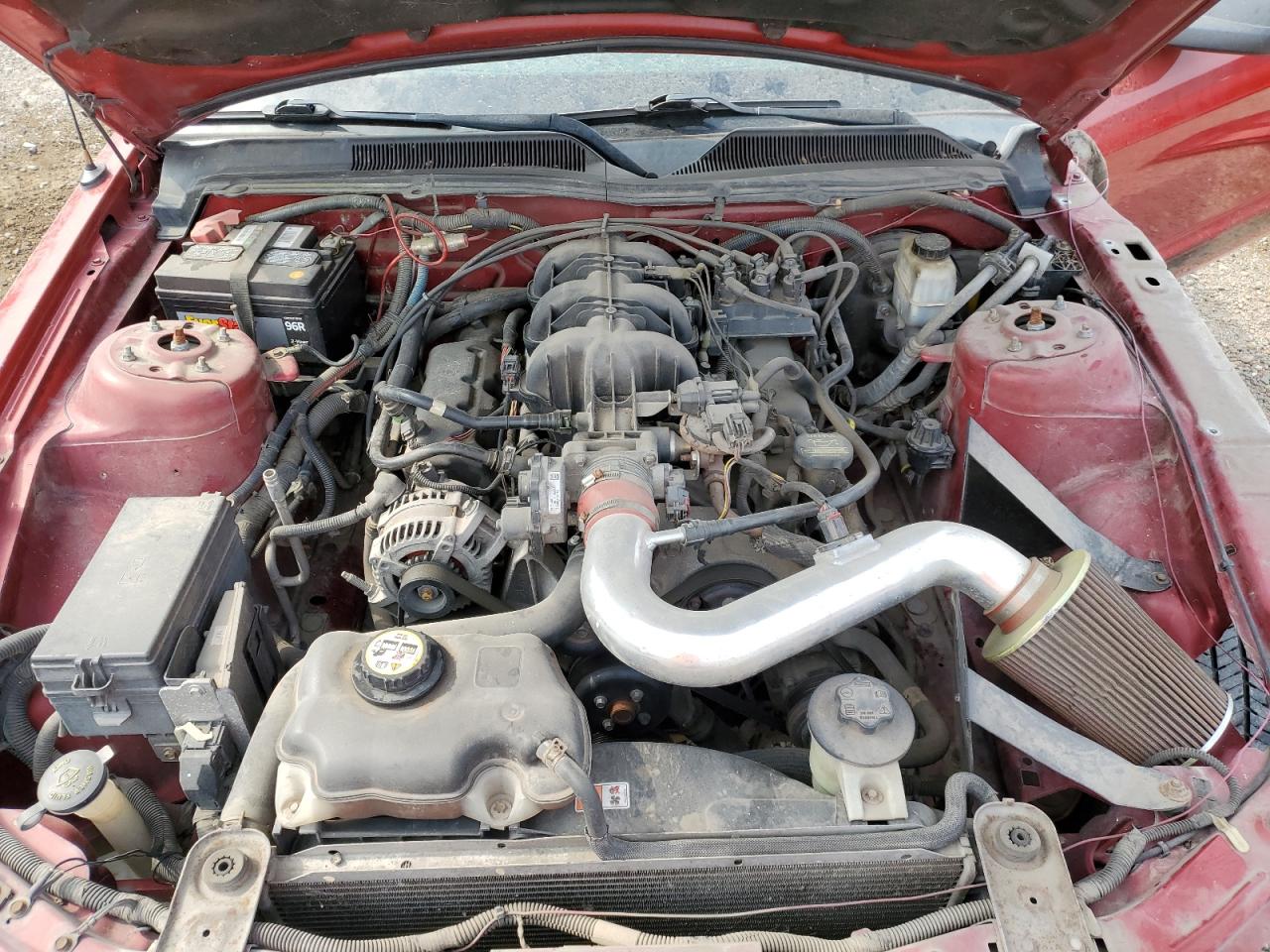 2009 Ford Mustang VIN: 1ZVHT80N895118783 Lot: 50498404