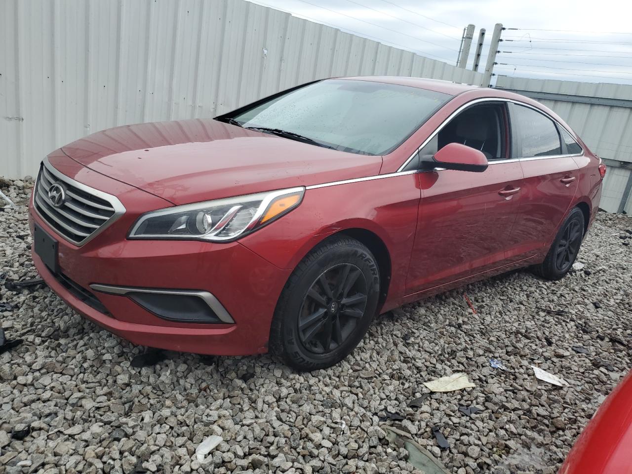 2016 Hyundai Sonata Se VIN: 5NPE24AF2GH346011 Lot: 50257884