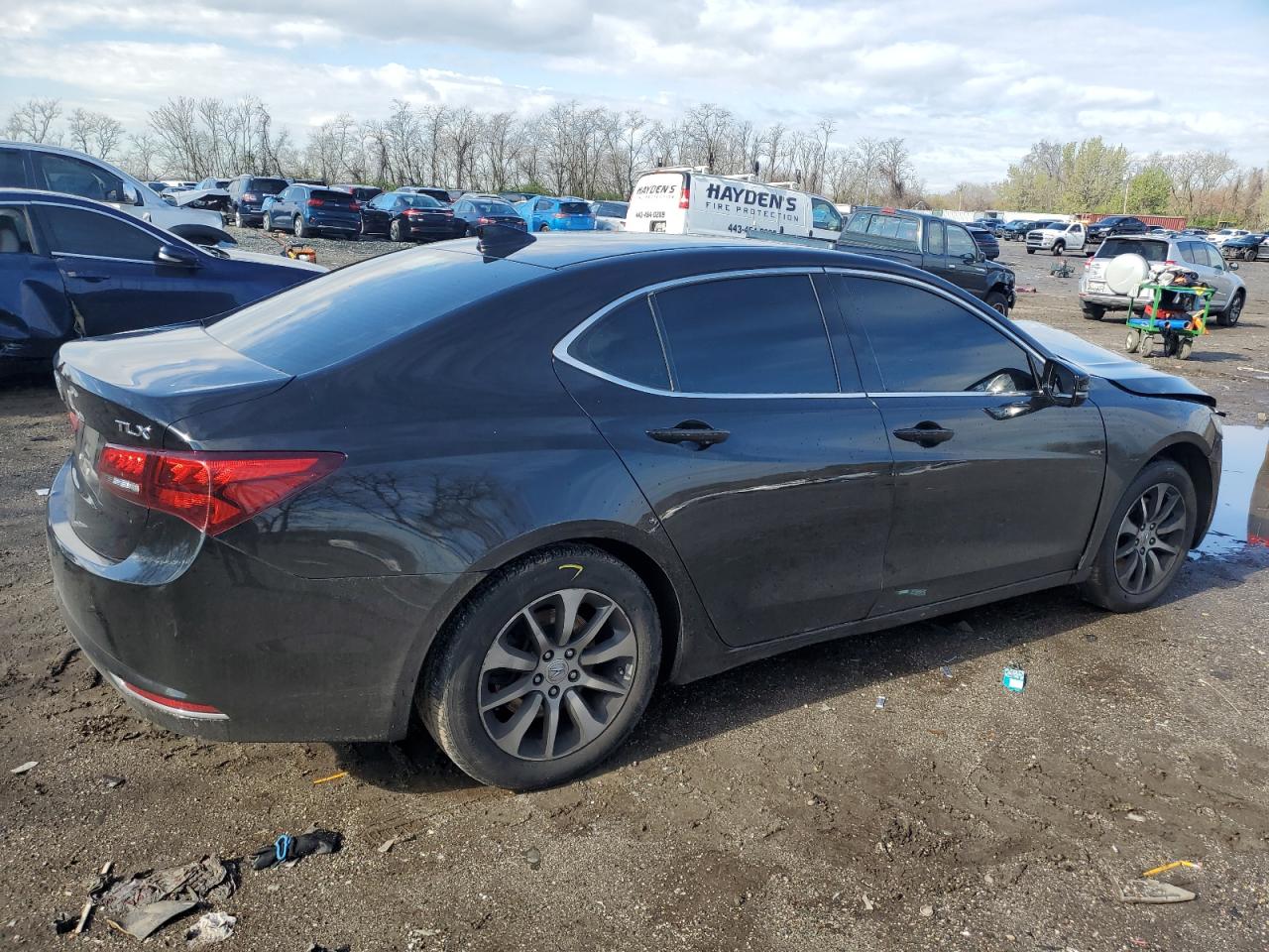 2017 Acura Tlx VIN: 19UUB1F34HA007494 Lot: 49554804