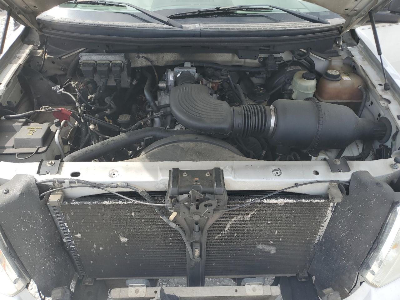 2006 Ford F150 VIN: 1FTRX02W76KC10306 Lot: 57191344