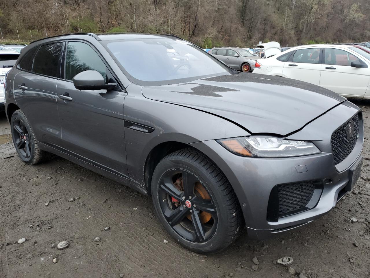 2019 Jaguar F-Pace S VIN: SADCM2FV3KA610203 Lot: 50533634