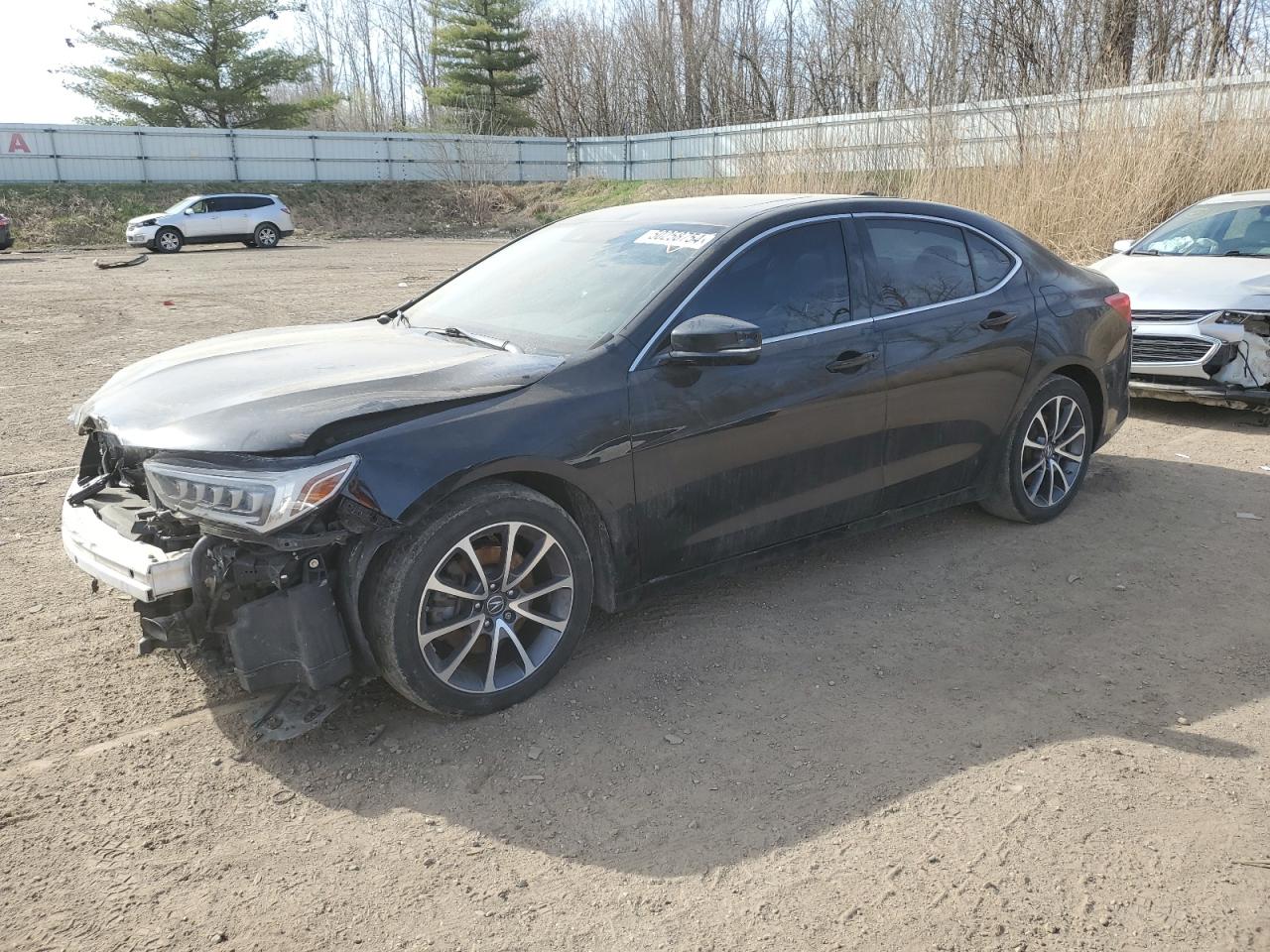 2019 Acura Tlx VIN: 19UUB3F39KA000060 Lot: 50258754