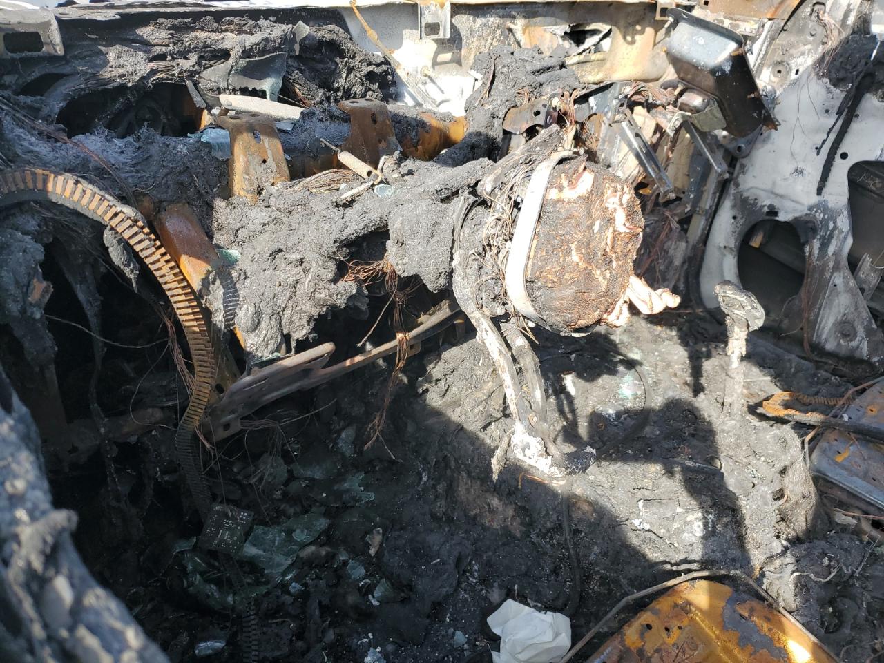 2023 Chevrolet Colorado Lt VIN: 1GCPSCEK0P1235409 Lot: 50124894