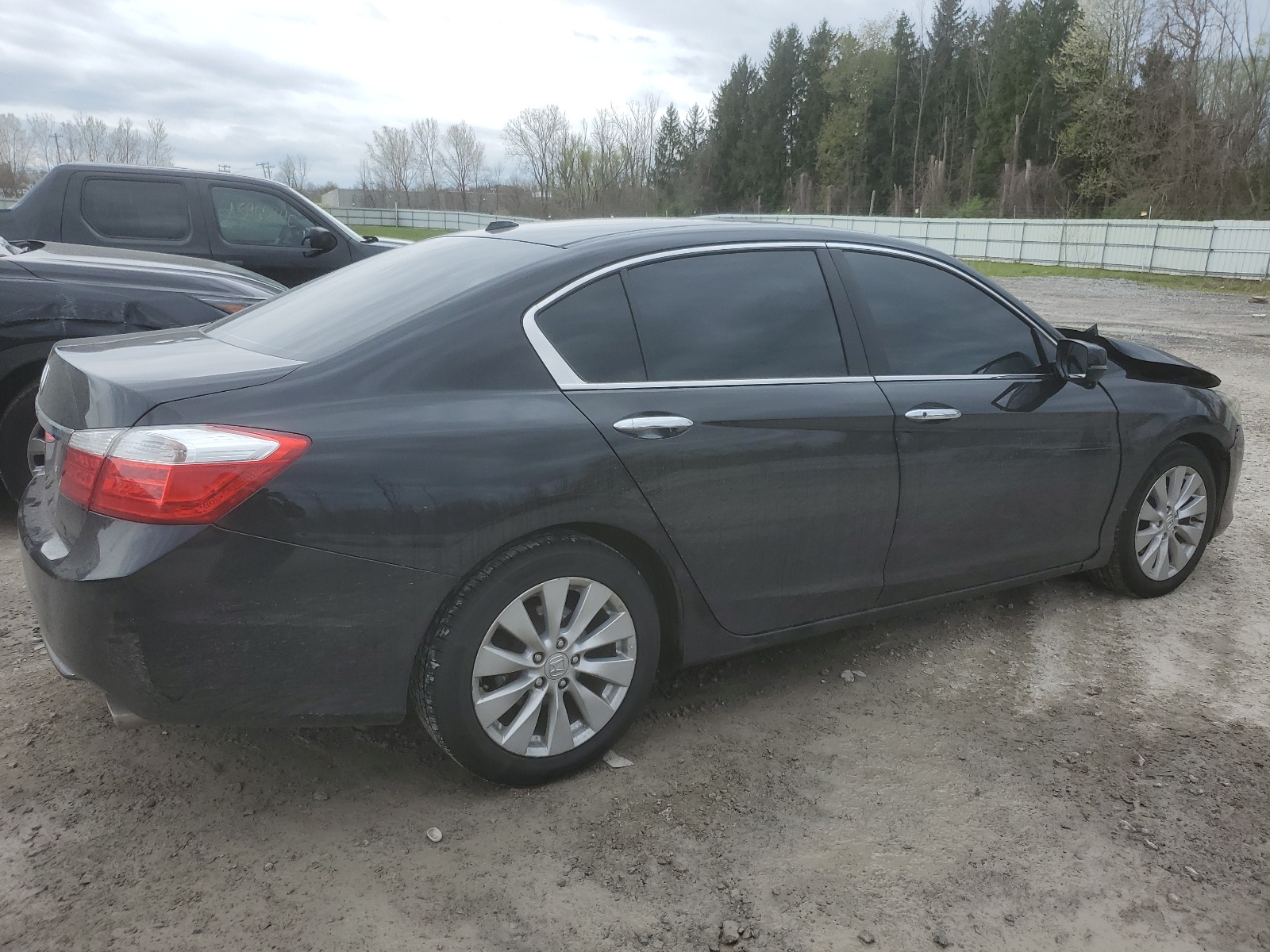 1HGCR2F82DA148681 2013 Honda Accord Exl