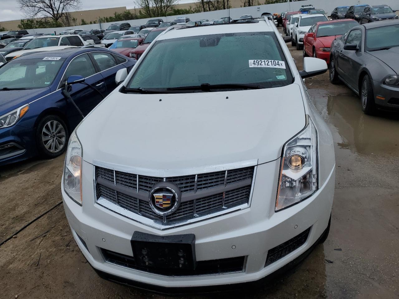 2010 Cadillac Srx Luxury Collection VIN: 3GYFNAEY0AS650161 Lot: 49212104