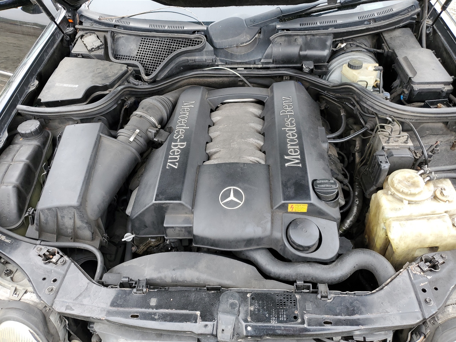 WDBJF70H4XA818321 1999 Mercedes-Benz E 430