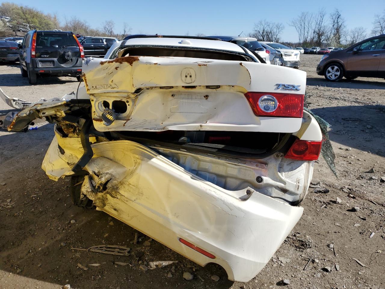 2005 Acura Tsx VIN: JH4CL96885C017364 Lot: 48902724