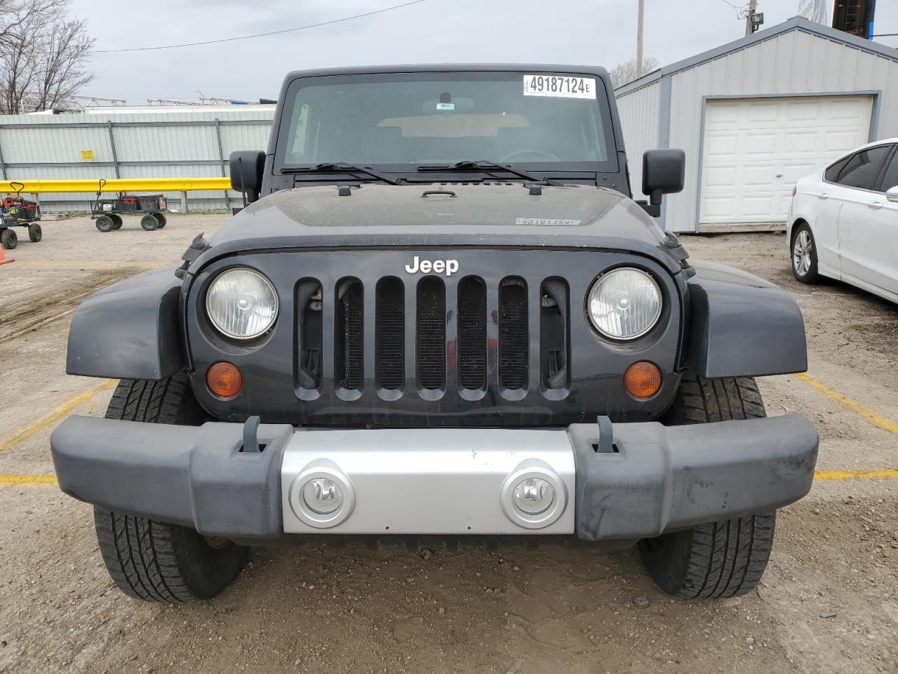 2010 Jeep Wrangler Sahara VIN: 1J4AA5D10AL207550 Lot: 49187124