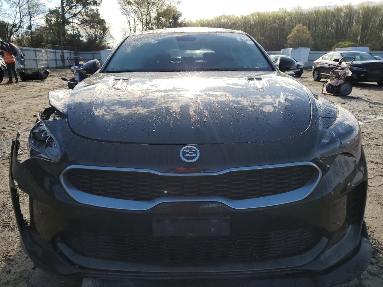 2018 Kia Stinger Premium VIN: KNAE25LA3J6017663 Lot: 49094394