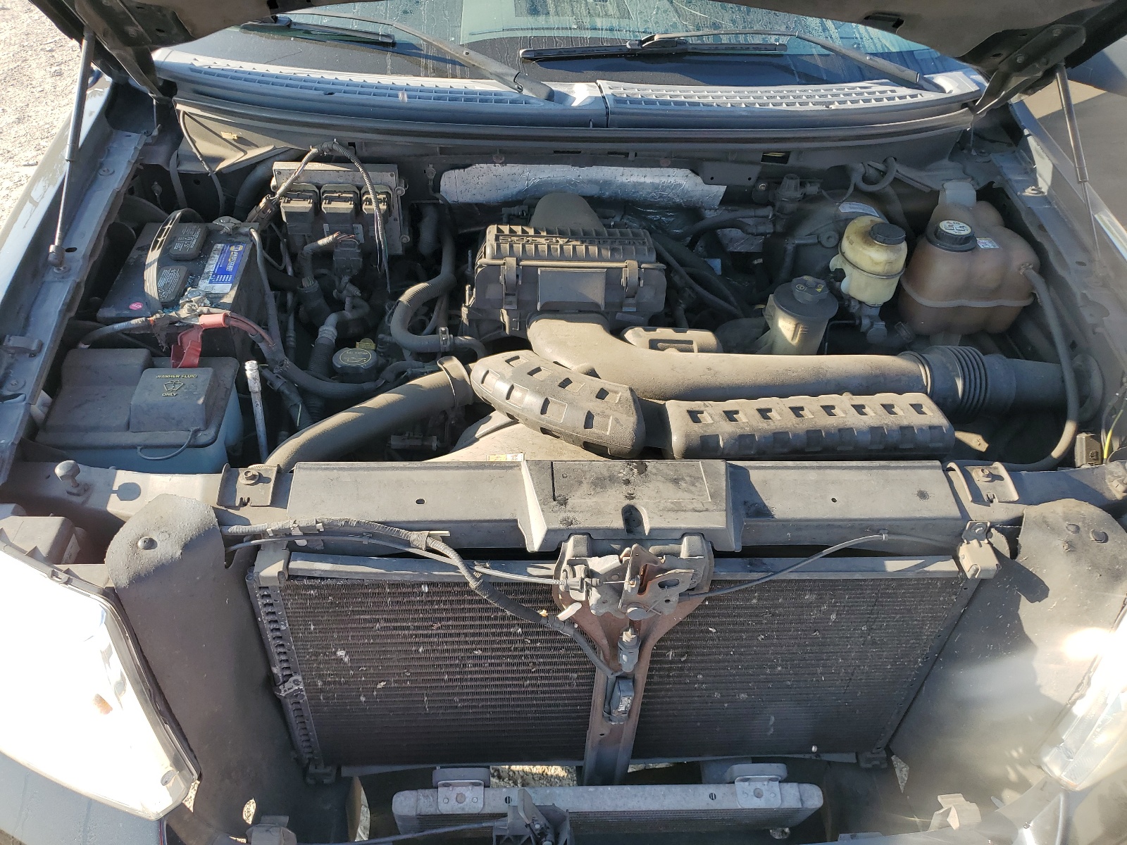 1FTPX12V17FA77539 2007 Ford F150