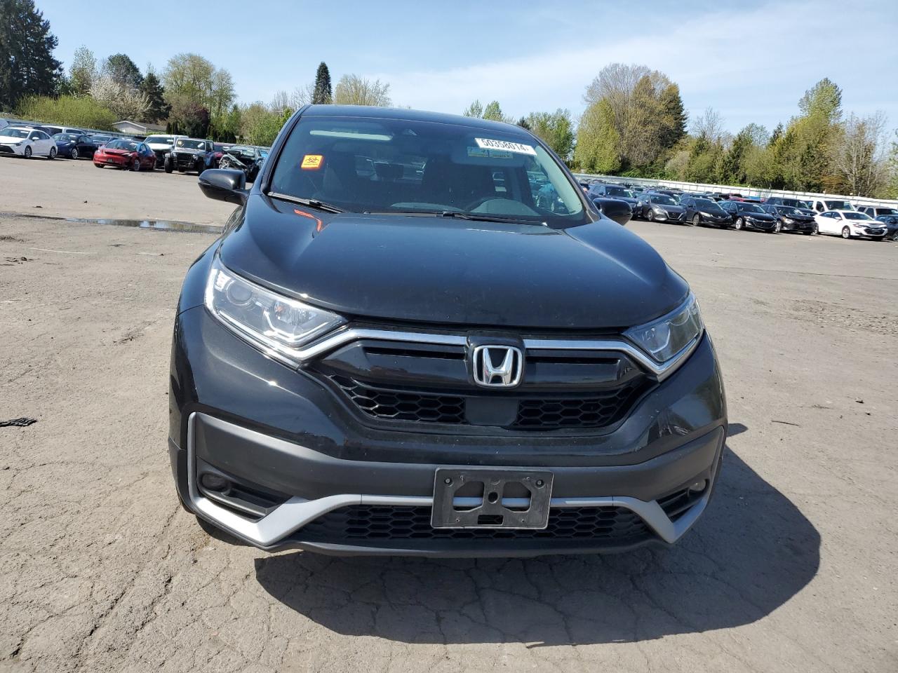 2020 Honda Cr-V Exl VIN: 2HKRW2H81LH690912 Lot: 50358014