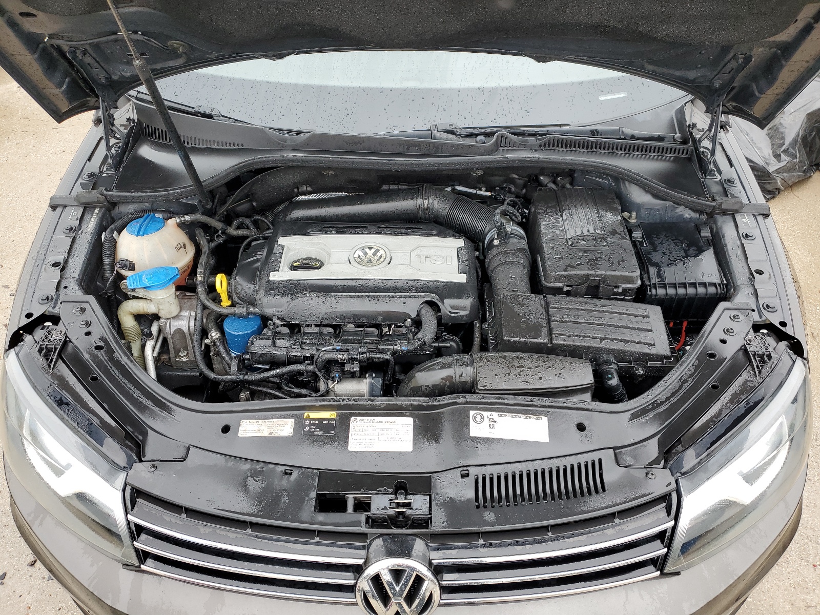 WVWBW8AH0GV000961 2016 Volkswagen Eos Komfort