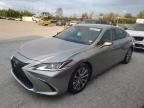 2020 Lexus Es 350 იყიდება Cahokia Heights-ში, IL - Hail