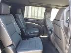 2023 Cadillac Escalade Esv Sport zu verkaufen in Anthony, TX - Minor Dent/Scratches