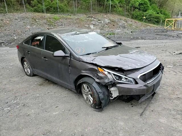 2016 Hyundai Sonata Se VIN: 5NPE24AF4GH293120 Lot: 51332544