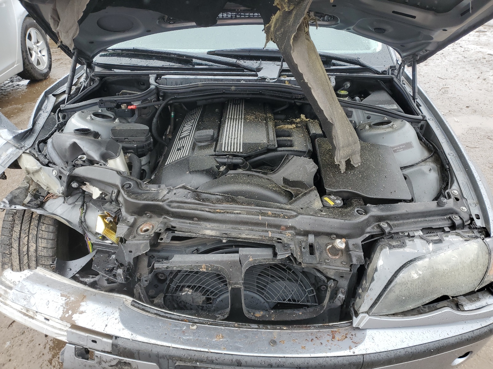 WBAEU33484PR10953 2004 BMW 325 Xi