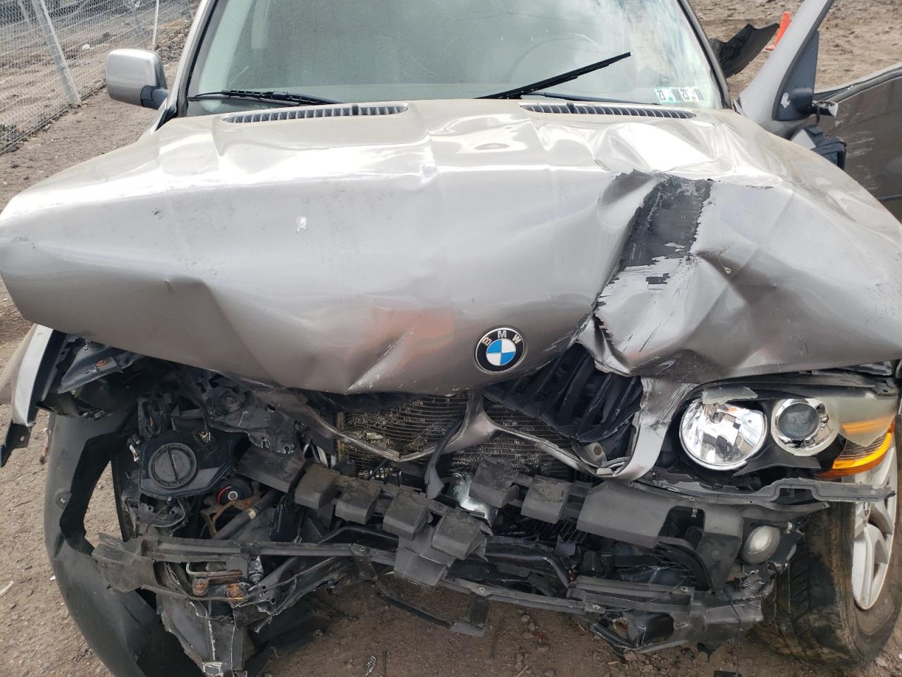 2006 BMW X5 3.0I VIN: 5UXFA13556LY45100 Lot: 49606604