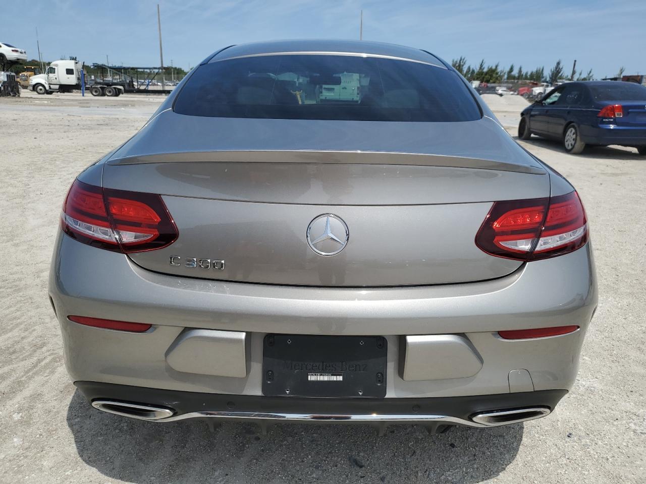 2020 Mercedes-Benz C 300 VIN: WDDWJ8DB1LF948934 Lot: 49532204