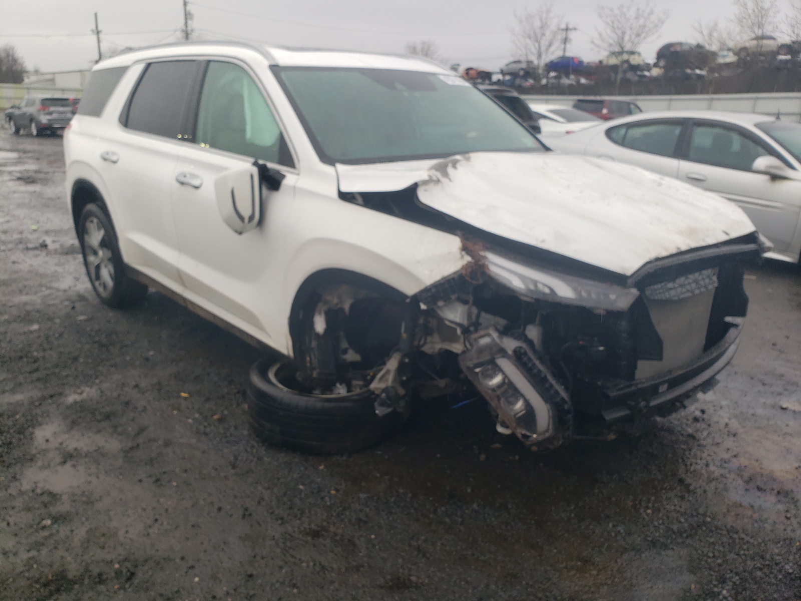 2021 Hyundai Palisade Sel vin: KM8R4DHE4MU212588