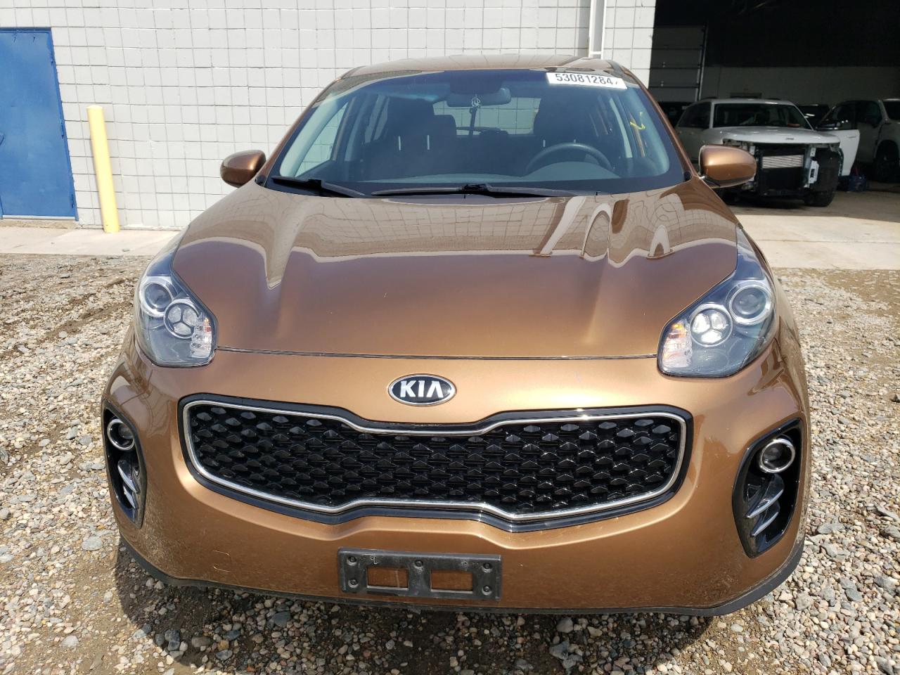 2019 Kia Sportage Lx VIN: KNDPMCAC2K7517646 Lot: 53081284