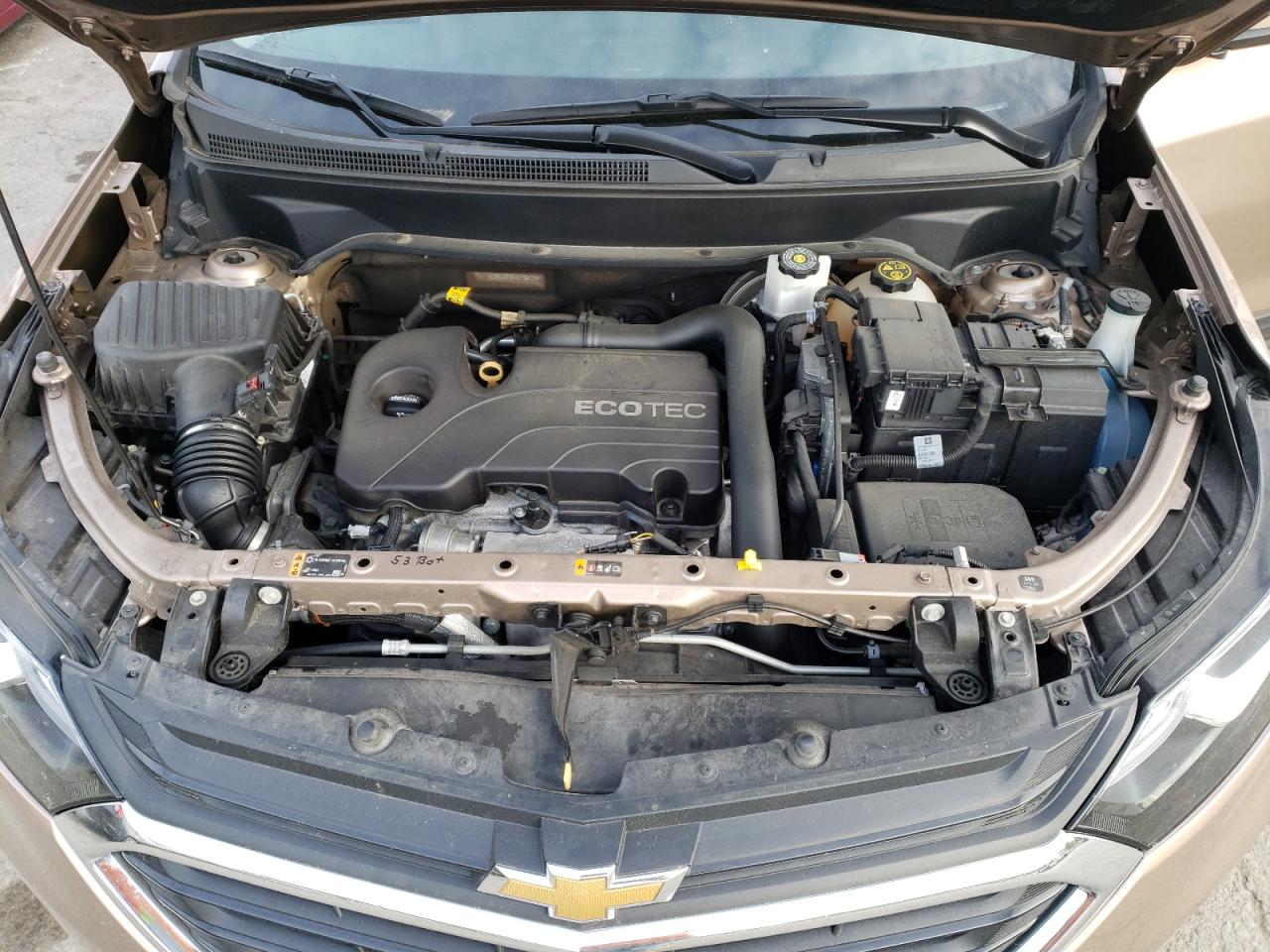 2GNAXUEV4K6136533 2019 Chevrolet Equinox Lt