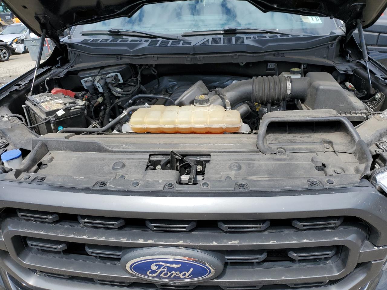 2021 Ford F150 Supercrew VIN: 1FTFW1E59MFA56055 Lot: 52163424