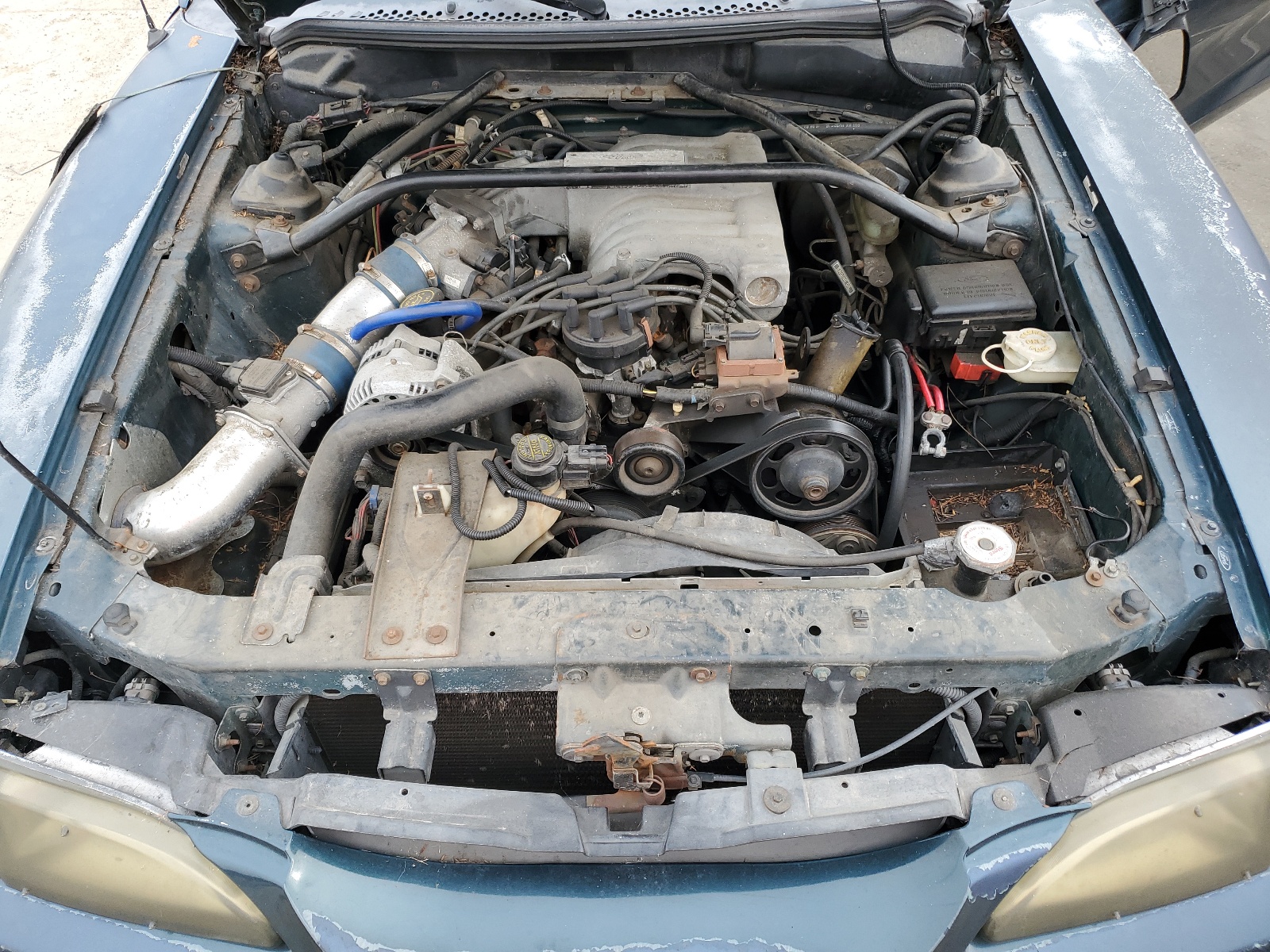 1FALP42T7RF129800 1994 Ford Mustang Gt