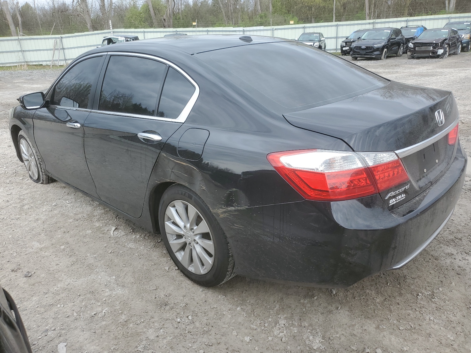 1HGCR2F82DA148681 2013 Honda Accord Exl