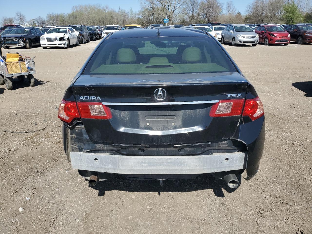 2011 Acura Tsx VIN: JH4CU2F64BC011141 Lot: 50869874