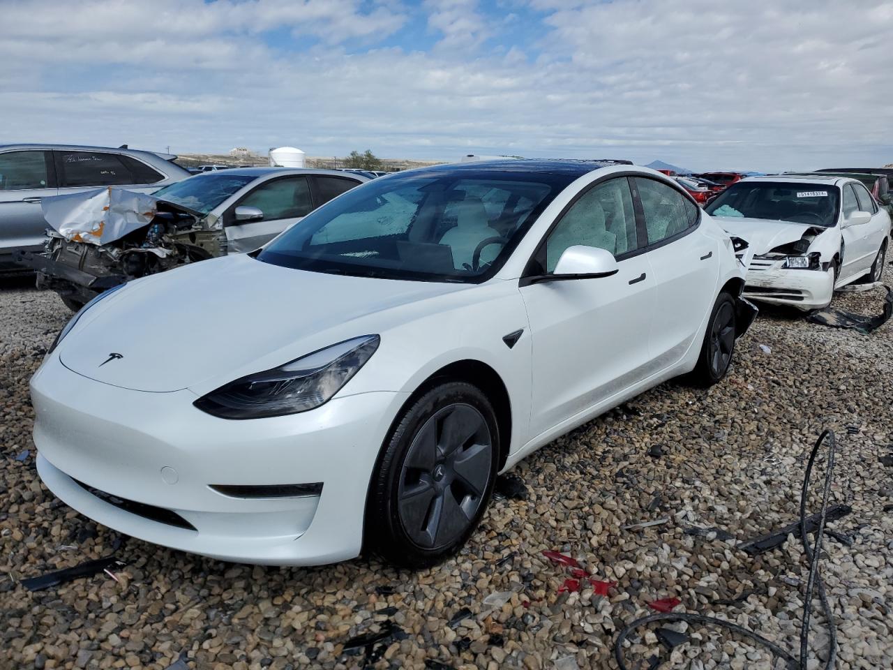 2023 Tesla Model 3 VIN: 5YJ3E1EA9PF569835 Lot: 50876824